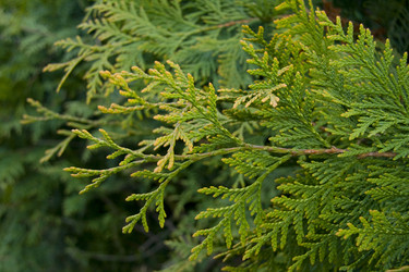 Similar image 142001