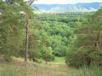 Similar image 142007