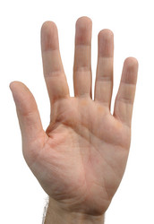 Similar image 142032