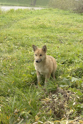 Similar image 142044