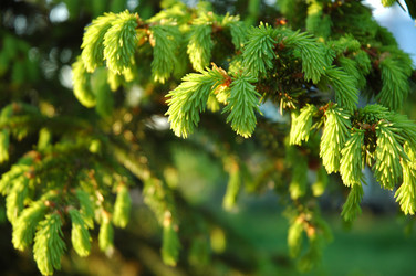 Similar image 142081