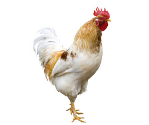 Similar image 142132