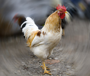 Similar image 142134