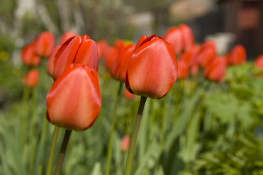 Similar image 142140