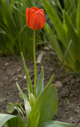 Similar image 142143