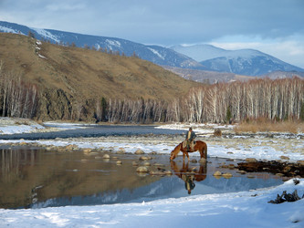 Similar image 142147