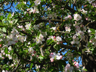 Similar image 142160