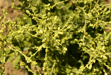 Similar image 142164