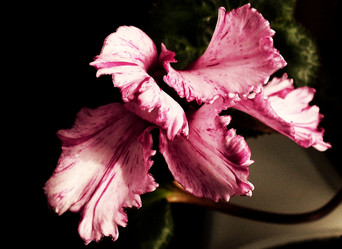 Similar image 142167