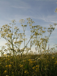 Similar image 142170