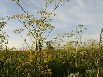 Similar image 142171