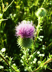 Similar image 142179