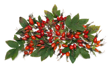 Similar image 142195