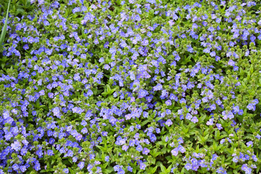 Similar image 142212