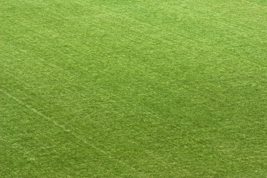 Similar image 142225