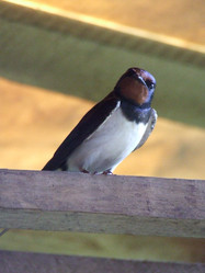 Similar image 142242