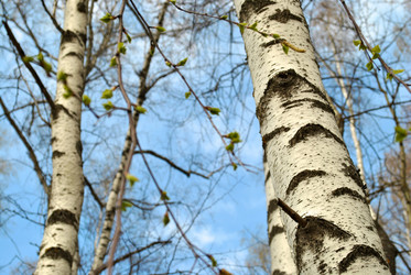 Similar image 142258