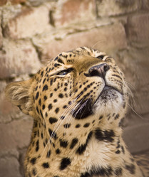 Similar image 142270