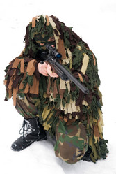 Similar image 142275