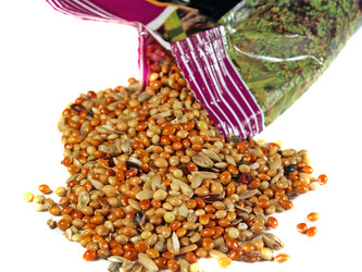 Similar image 142300