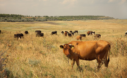 Similar image 142307