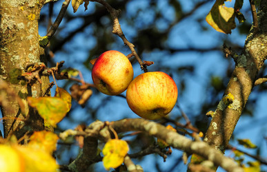 Similar image 142328