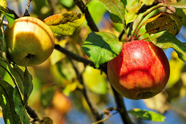 Similar image 142329