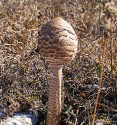 Similar image 142352