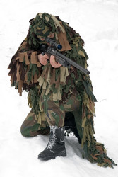 Similar image 142370