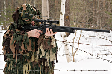 Similar image 142374