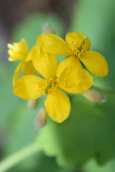 Similar image 142433