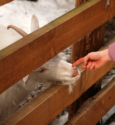 Similar image 142454