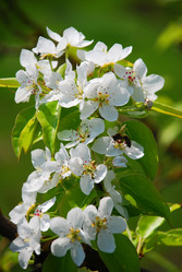 Similar image 142458