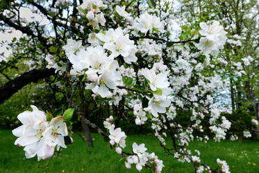 Similar image 142462