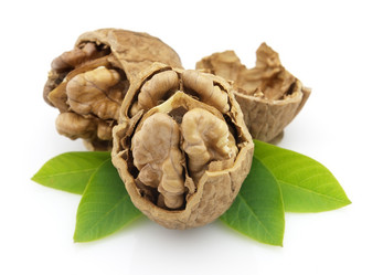 Similar image 142464