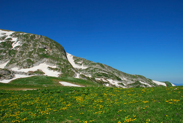 Similar image 142470