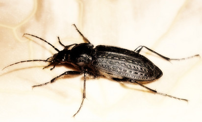 Similar image 142480