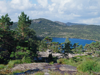 Similar image 142501