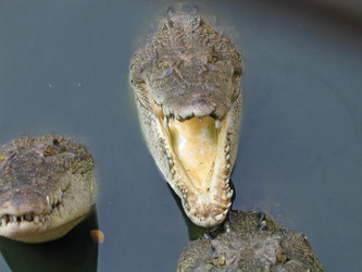 Similar image 142502