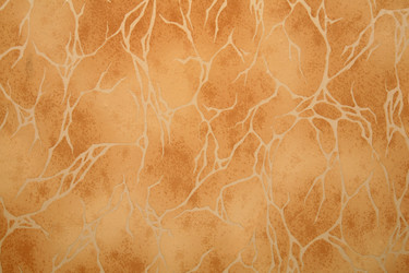 Similar image 142523