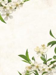 Similar image 142524