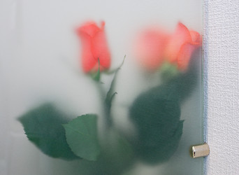 Similar image 142526