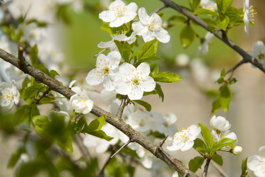 Similar image 142530