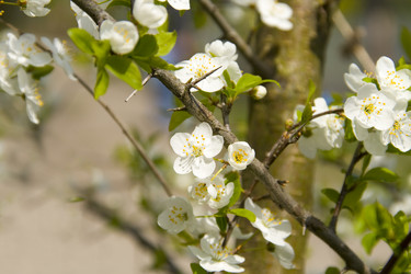 Similar image 142531