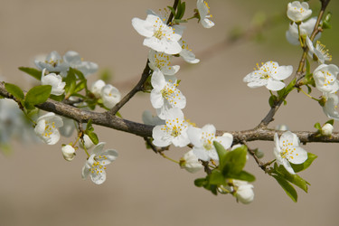 Similar image 142532