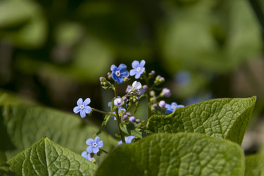 Similar image 142533