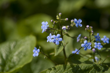 Similar image 142534