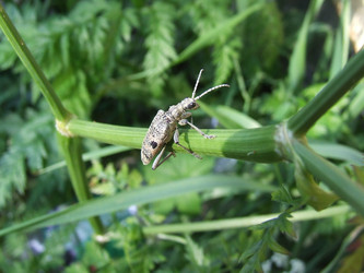 Similar image 142536