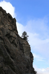 Similar image 142548