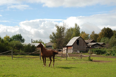 Similar image 142557